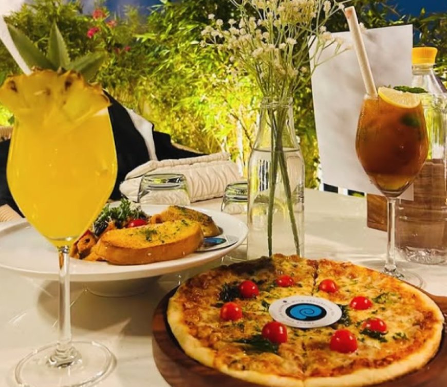 4.8 Rating – ShellBeacon Cafe, Hauz Khas Village – ₹1,700 approx for two (exclusive of taxes) – Scenic Rooftop Café with Deer Park Views, Comfort Food & Calm Vibes in South Delhi